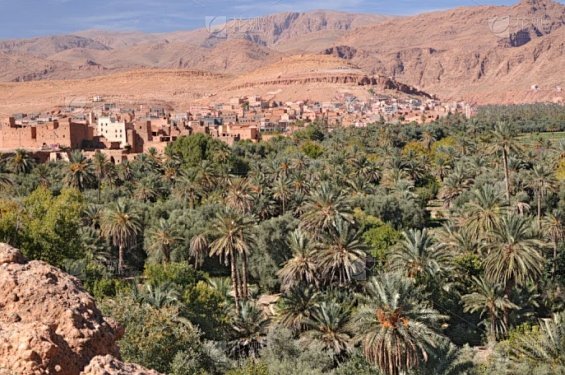 迪亚斯传中穆夏拉为何选择分球