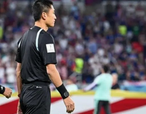马宁：世界杯上展现中国裁判风采 并把宝贵经验带回国内
