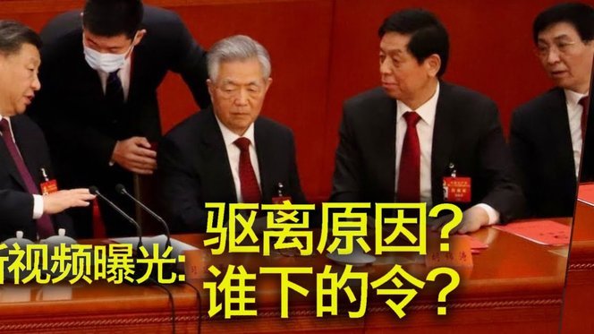 埃基蒂克“委屈小猫”庆生憾事