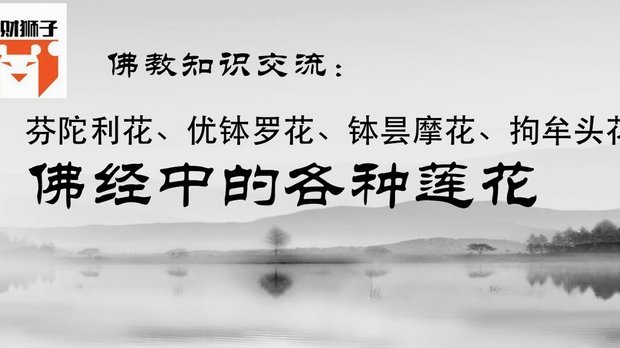 塔利亚菲科：佛得角力战西班牙，表现不容忽视